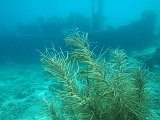 Curacao 04-12 059